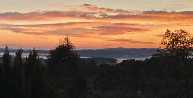 Wamboin Crown Reserve Walk